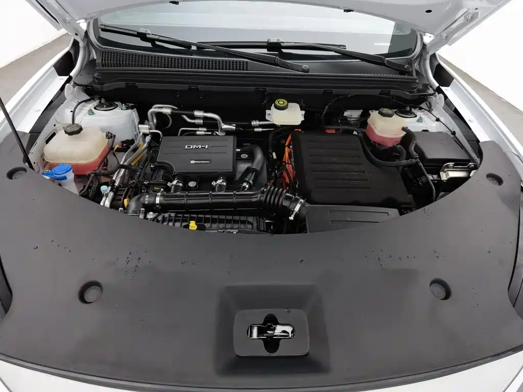 BYD Pro New Energy — миниатюра 6