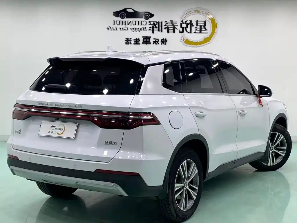 BYD Pro — миниатюра 9