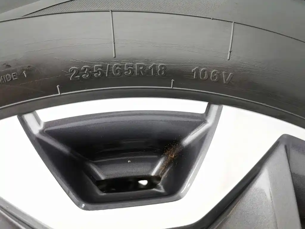 Haval Big Dog — миниатюра 24
