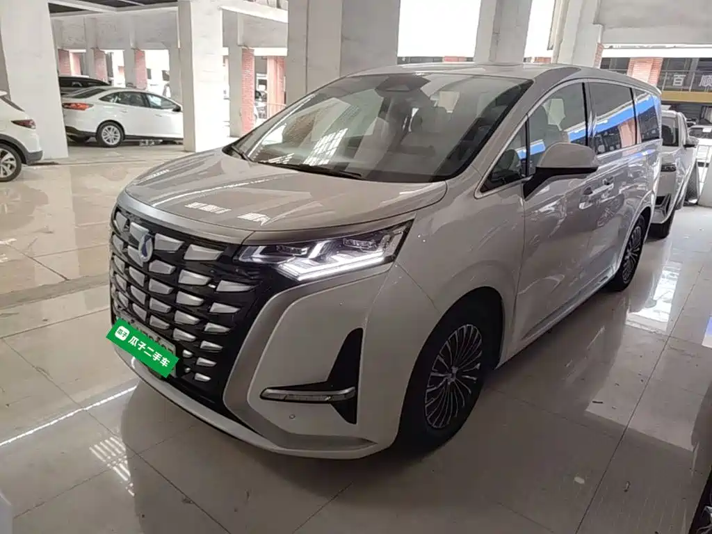 2023 Denza D9 - zdjęcie 1 z 21