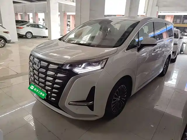 2023 Denza D9