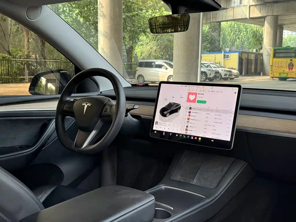 Tesla Model Y — миниатюра 14