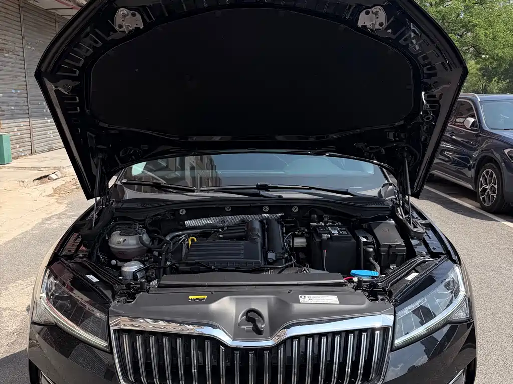 Skoda Superb Facelift TSI280 DSG Premium Edition, фото 15