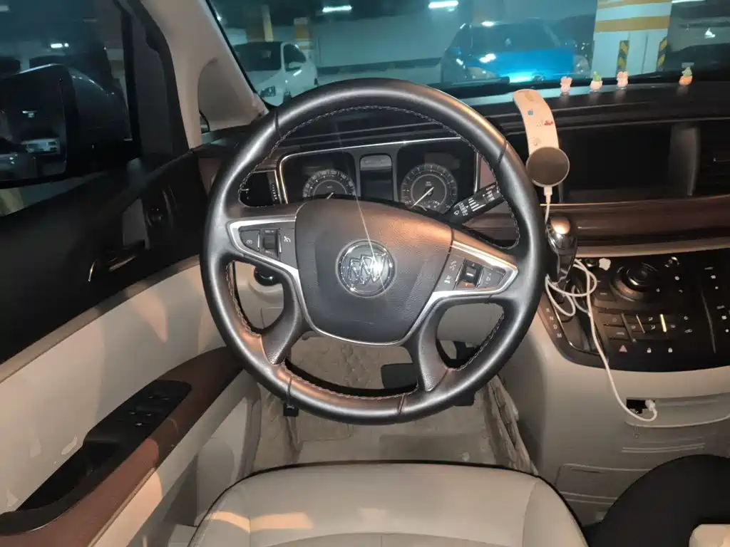 Buick GL8 — миниатюра 11