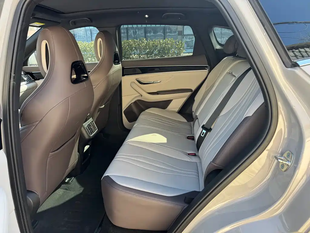 BYD SONGJIANG NEW ENERGY