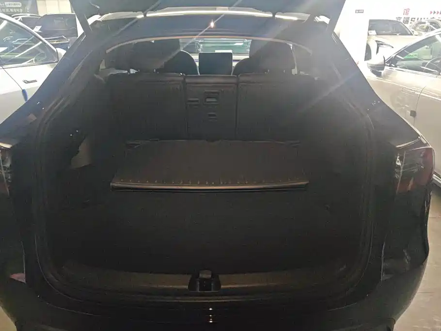 Tesla Model Y — миниатюра 4