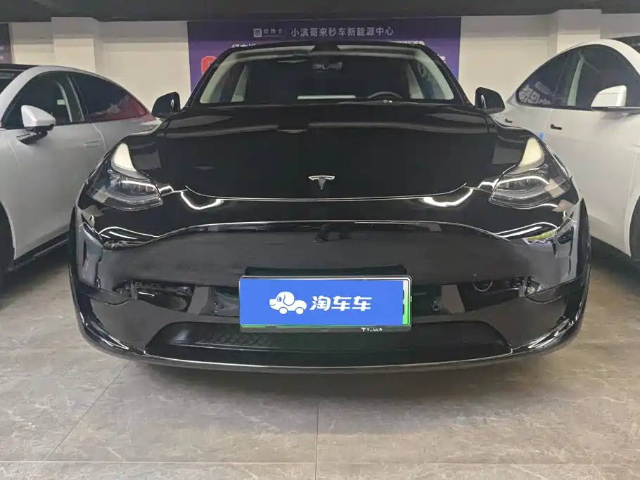 Tesla Model Y — миниатюра 2
