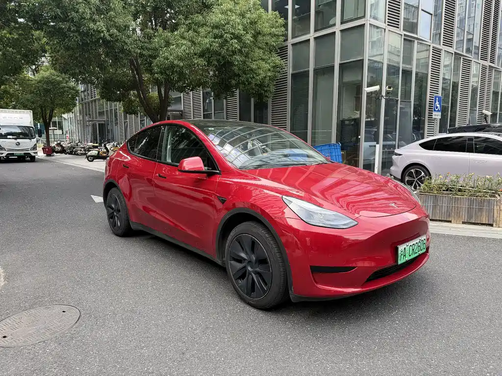 Tesla Model Y — миниатюра 3