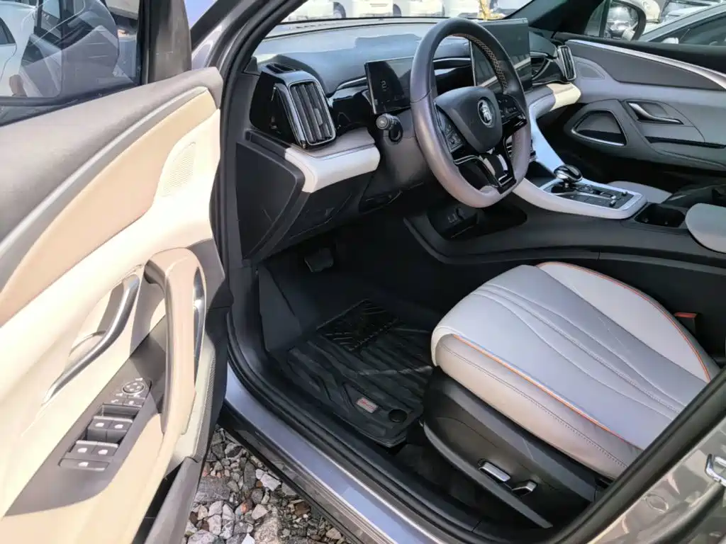 BYD Pro New Energy — миниатюра 16