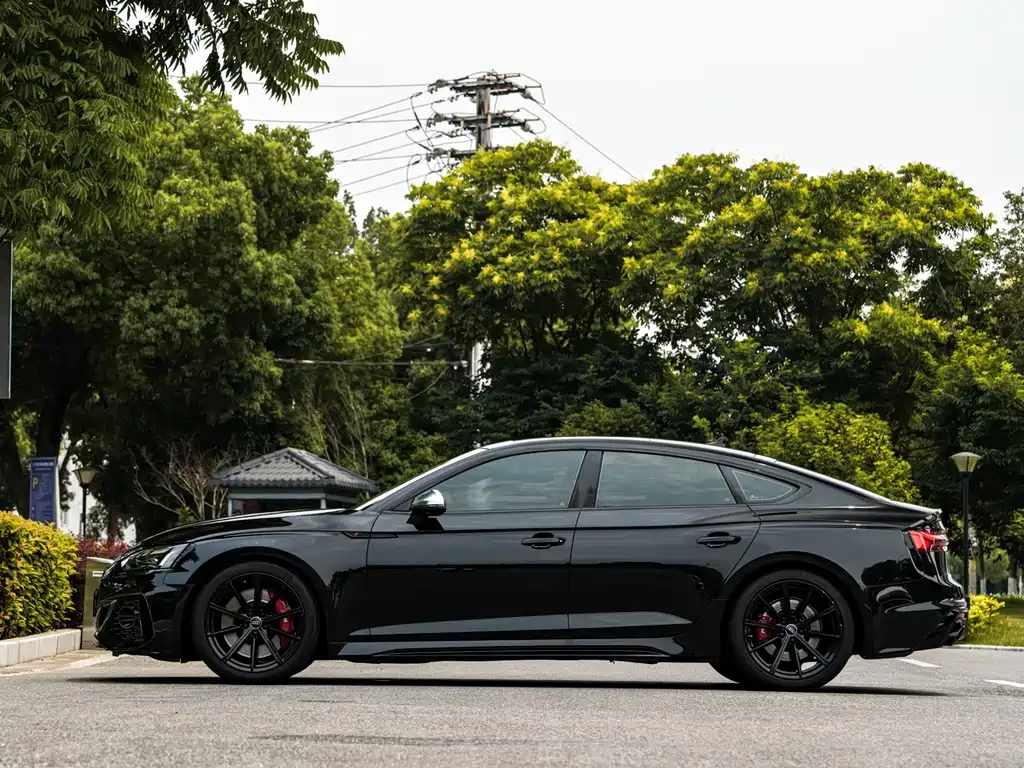 Audi RS 5 2020 RS 5 2.9T Sportback