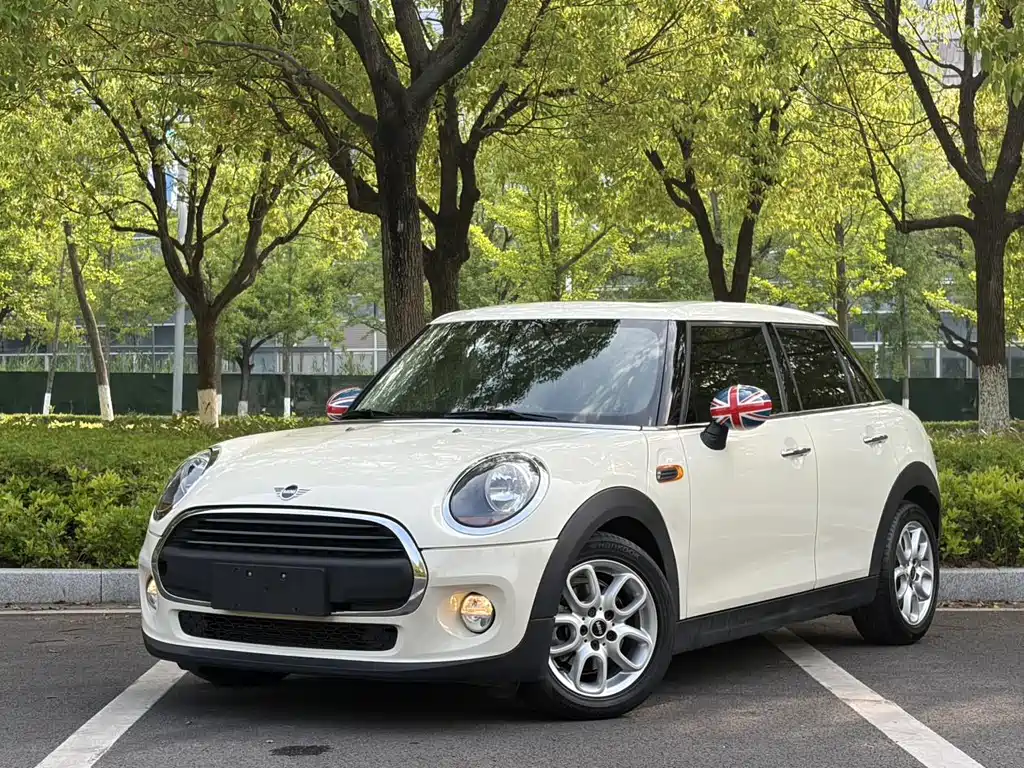 Mini Mini 2019