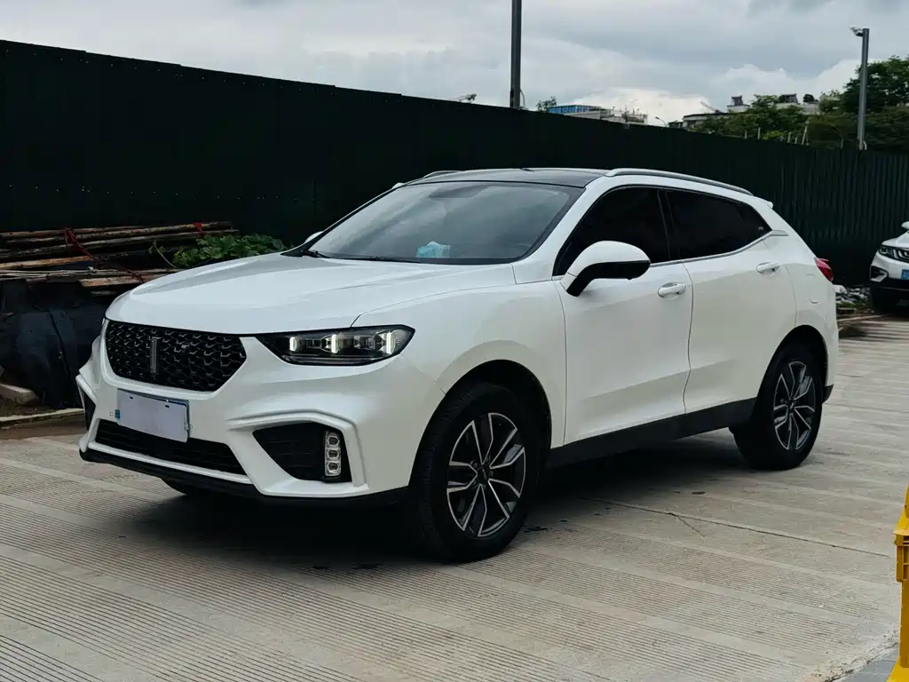 Wey Wey VV5 2020
