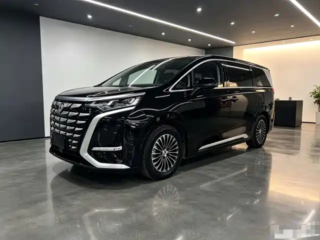 2023 Denza D9