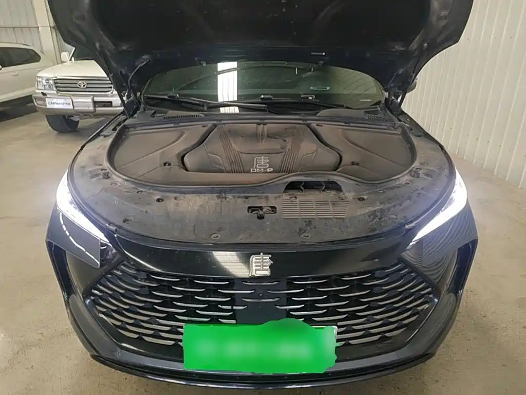 BYD Tang New Energy — миниатюра 20