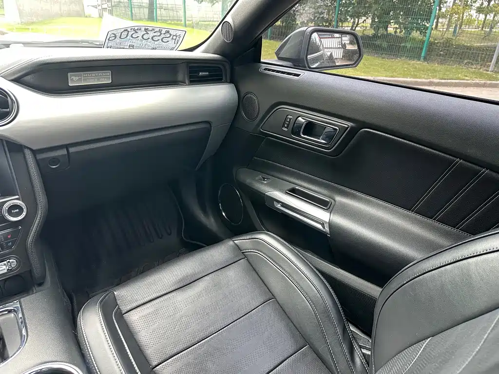 Ford Mustang — миниатюра 24