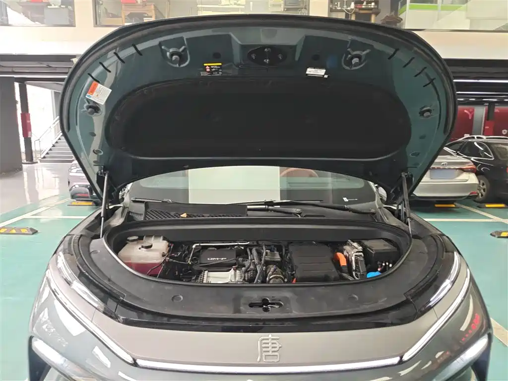 BYD Tang L L 2025 DM 175KM