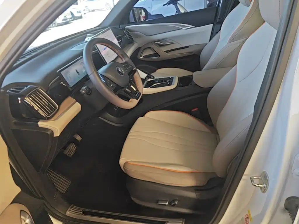 BYD Pro New Energy — миниатюра 15