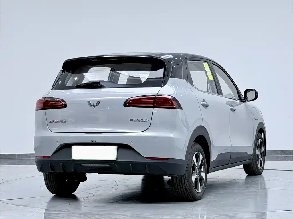 Wuling BinguoPLUS PLUS 2024 401km Flagship мест