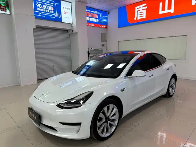TESLA MODEL 3 2020