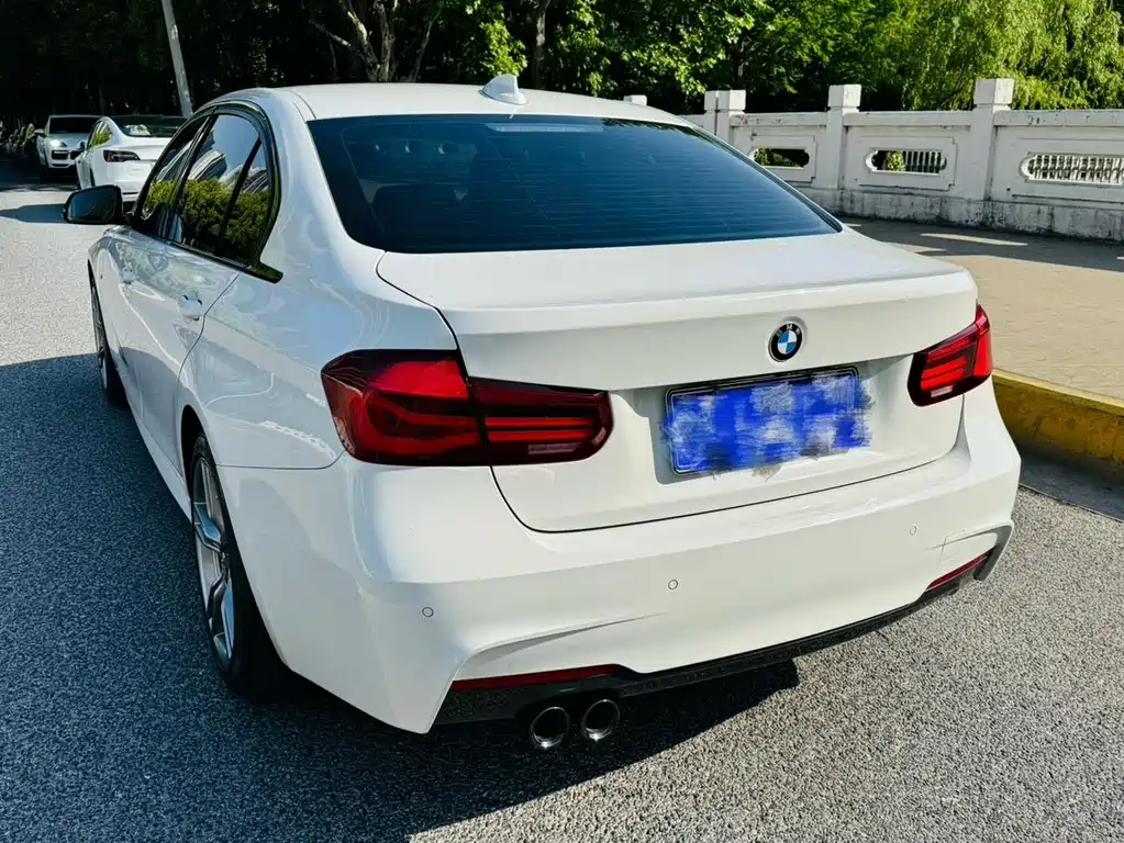 BMW 3 Series 3 2019 320Li M Sport