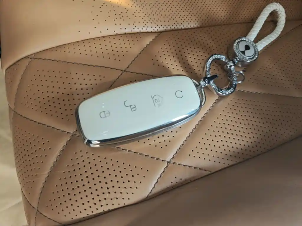 Denza Denza D9 — миниатюра 9