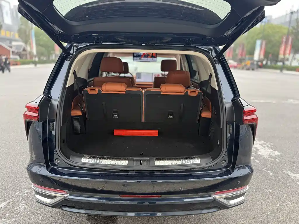 WEI PAI WEI BRAND BLUE MOUNTAIN