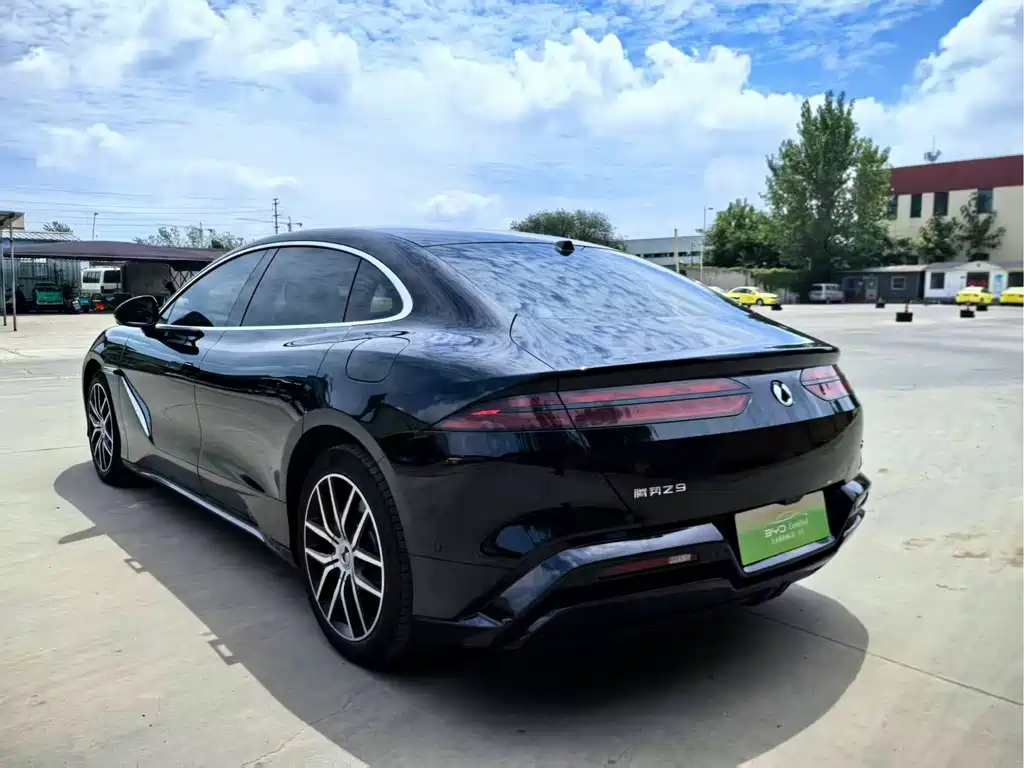 Denza Denza Z9 — миниатюра 7