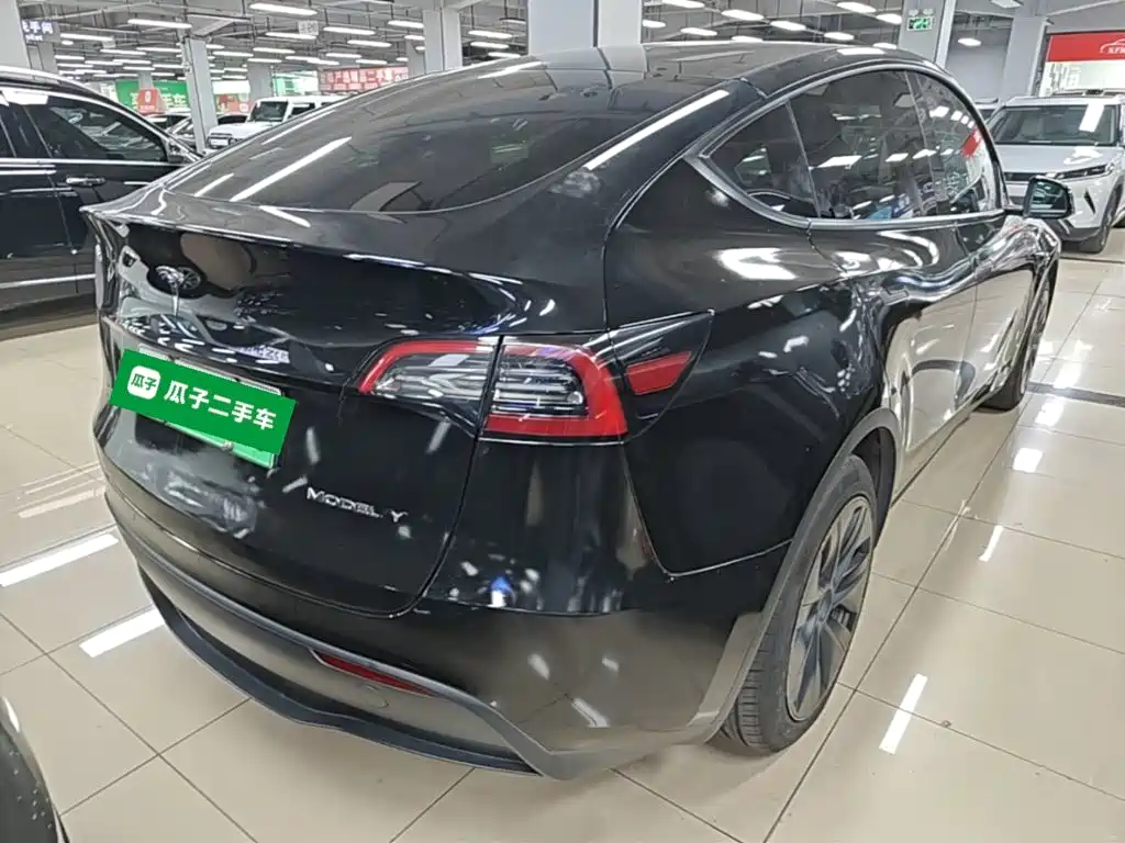 Tesla Model Y — миниатюра 7