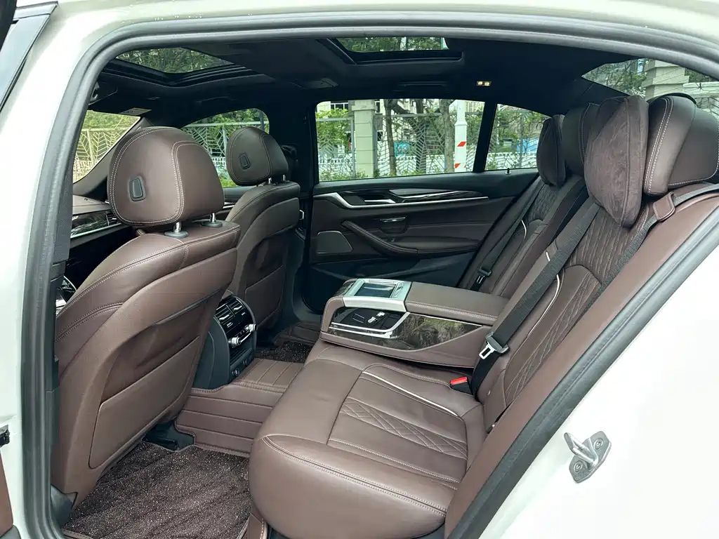 BMW 5 Series 5 2019 530Li Premium M Sport