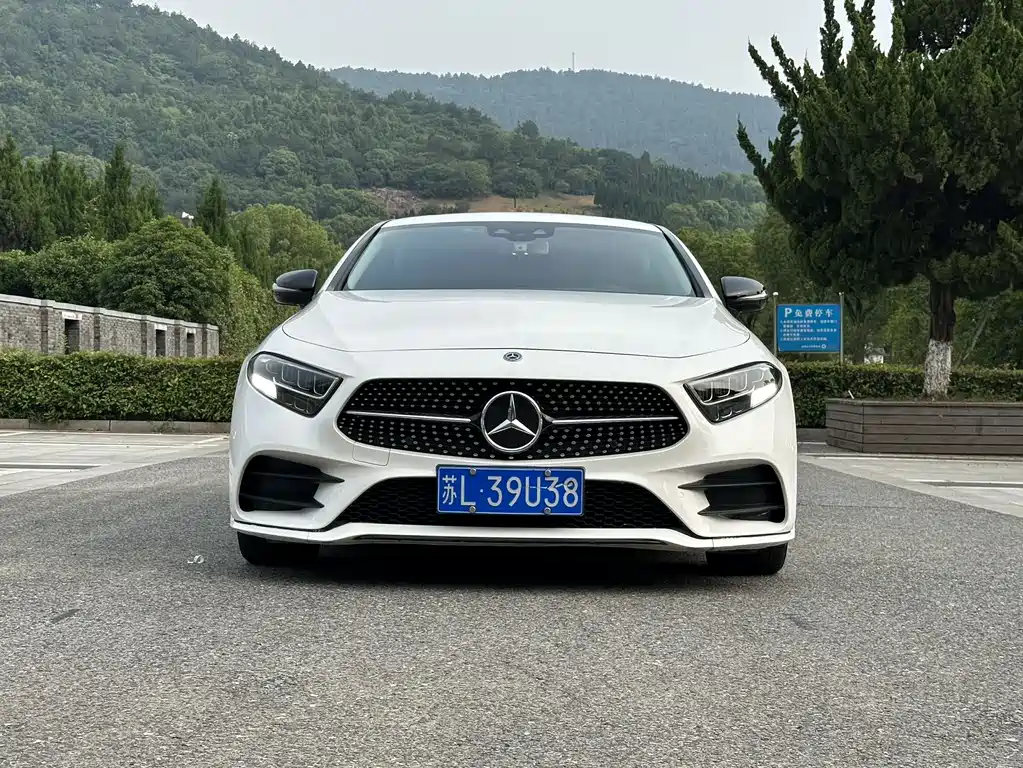 Mercedes-Benz CLS 2020 CLS 300