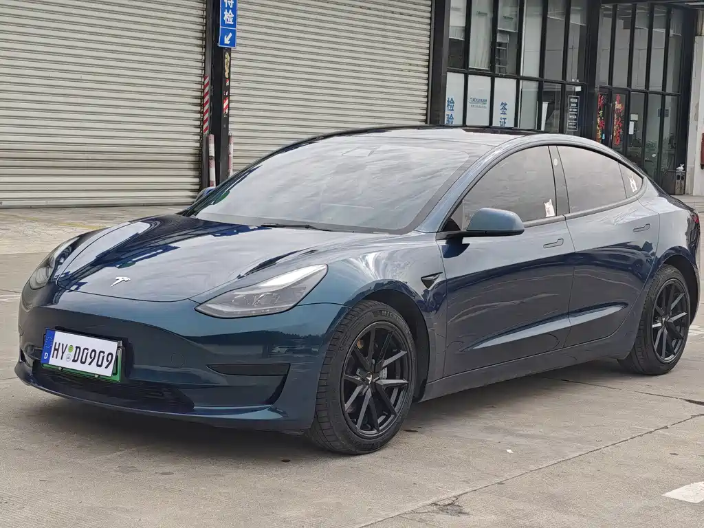 Tesla Model 3 2021