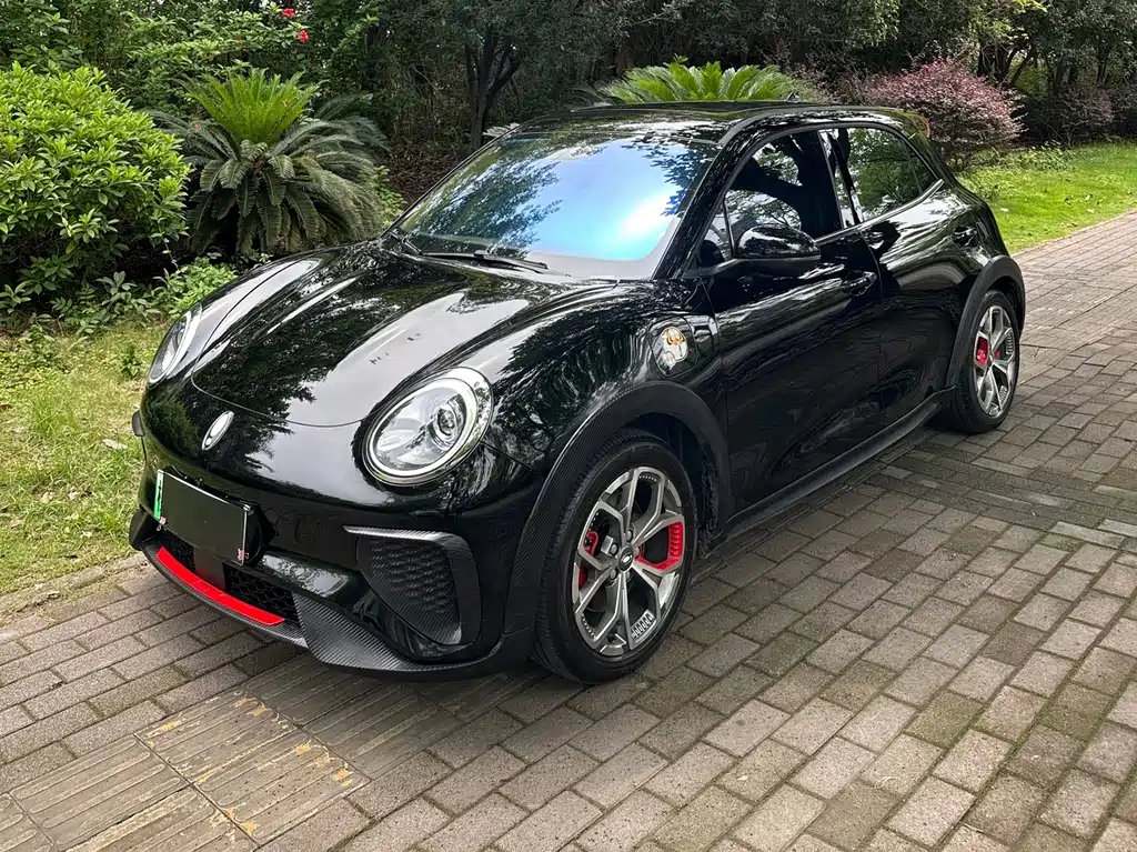 Ora Ora Good Cat GT 2021