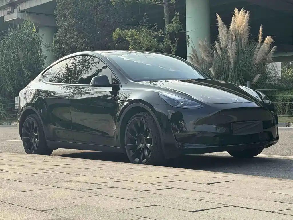 Tesla Model Y — миниатюра 4