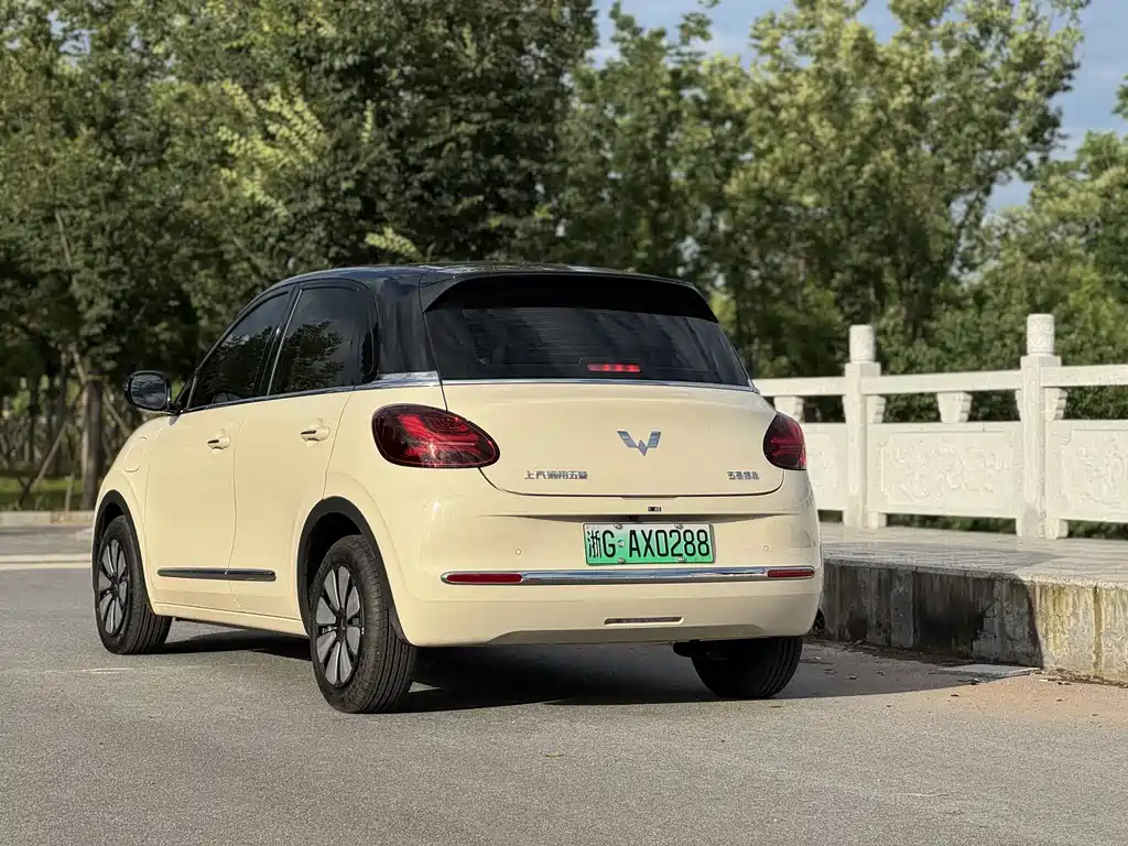 Wuling Binguo 2025 333km Enjoy