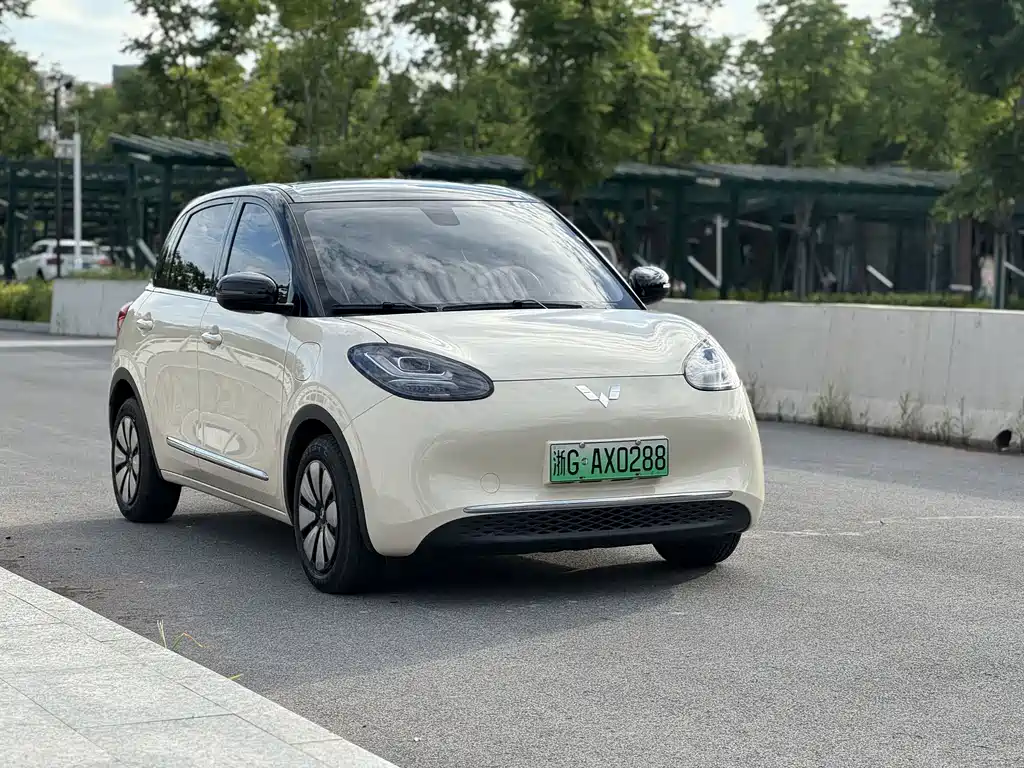Wuling Binguo 2025 333km Enjoy