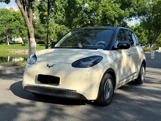 2025 Wuling Motors Binguo
