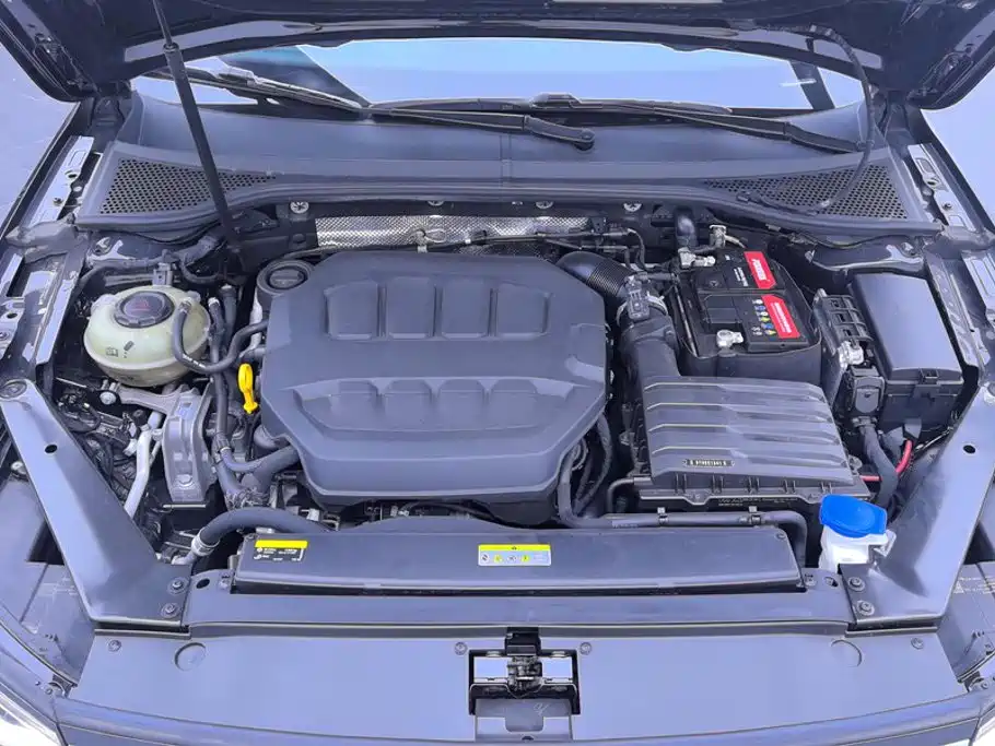 Volkswagen Magotan 2023 200 330TSI DSG Luxury