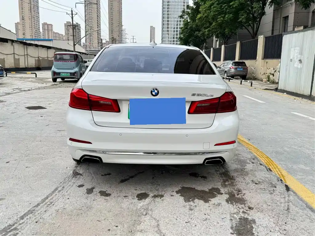 BMW 5 Series New Energy 530Le Luxury Package, фото 8