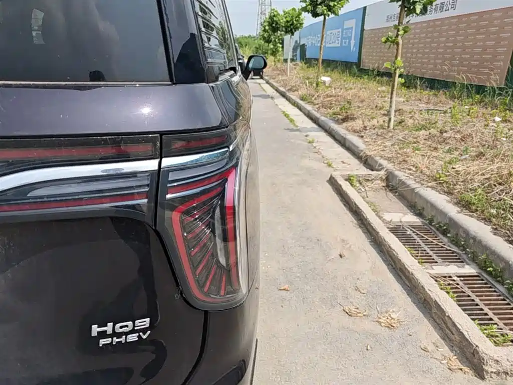 Hongqi HQ9 PHEV 2024 2.0T