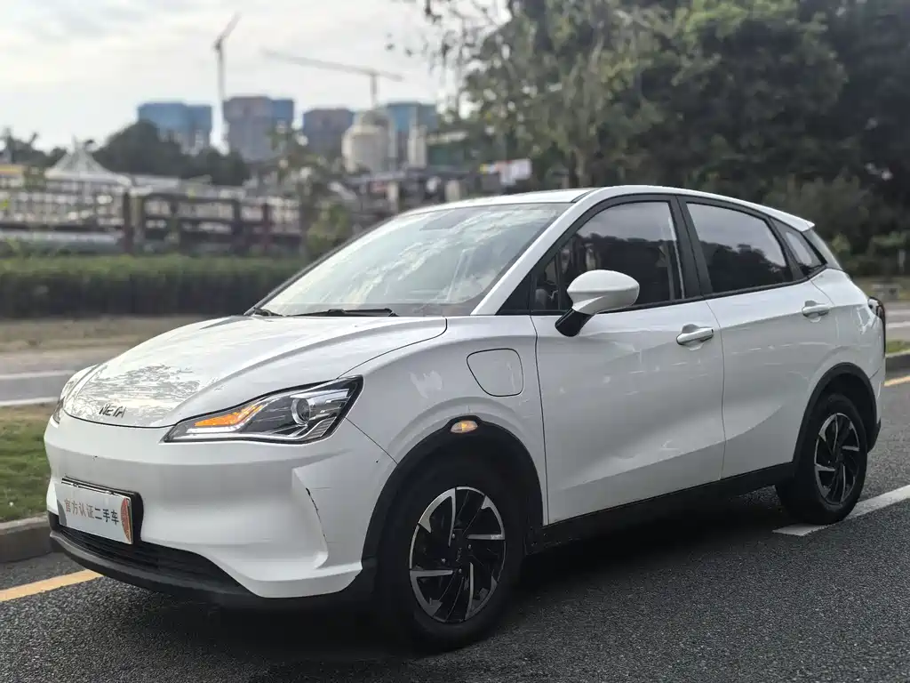 Neta Neta V 2021