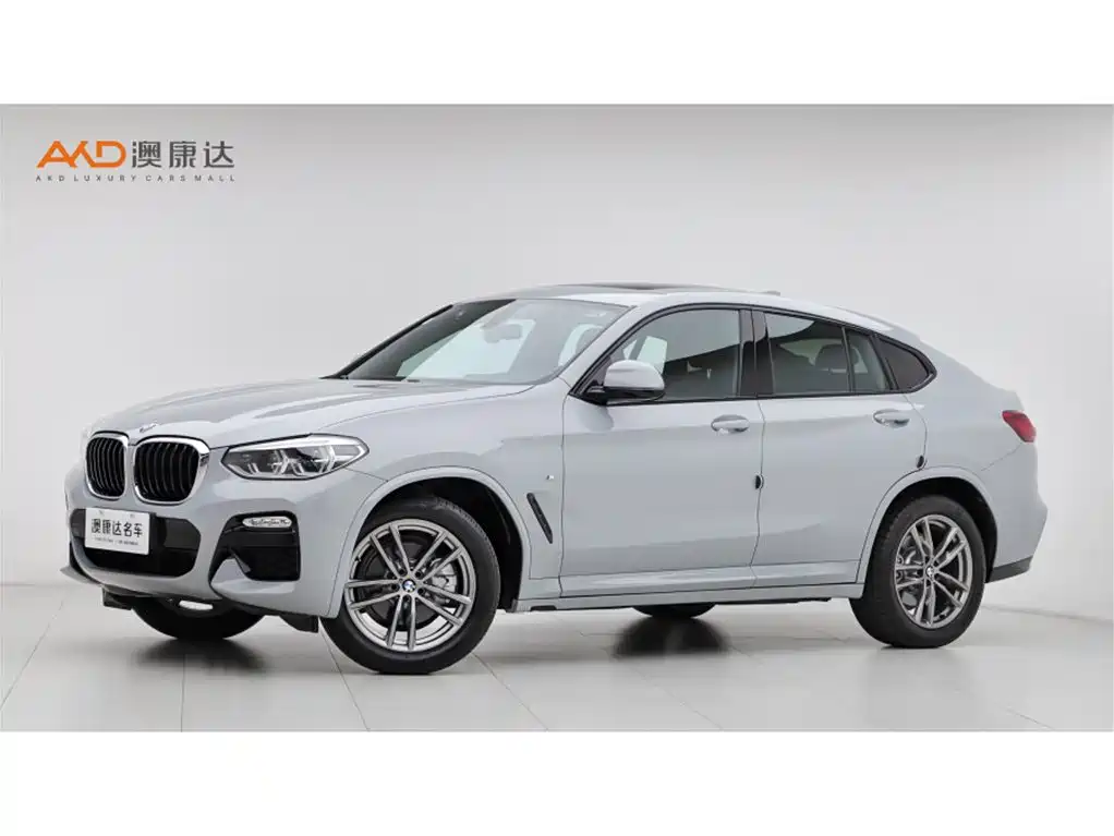 BMW X4 2019
