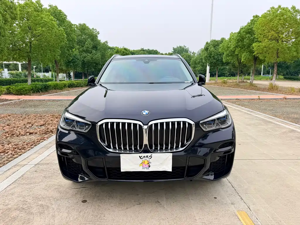 BMW X5 2022 xDrive 30Li M Sport