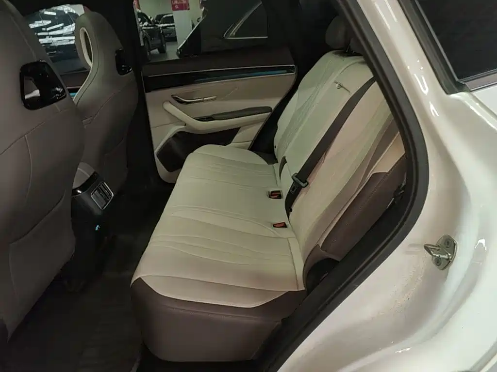 BYD PLUS New Energy — миниатюра 17
