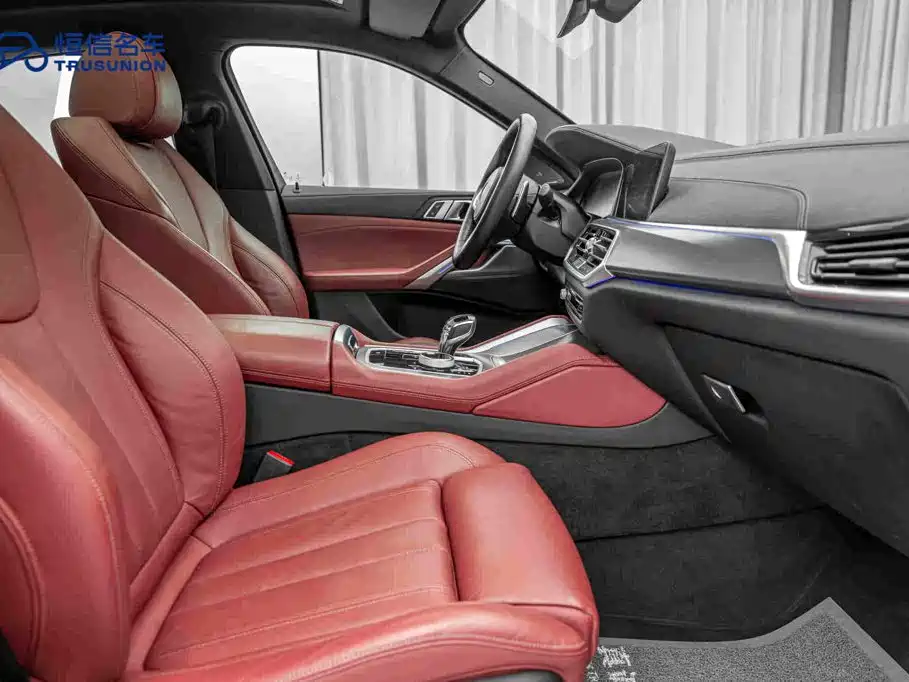 BMW X6 — миниатюра 15