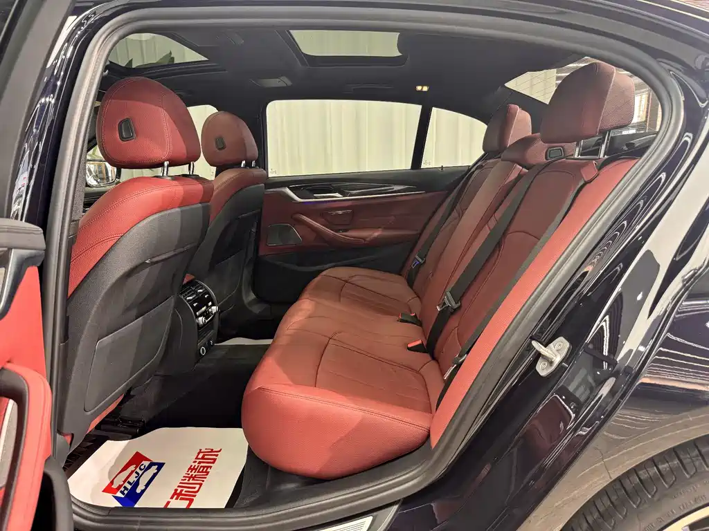 BMW 5 Series 5 2019 530Li Premium M Sport