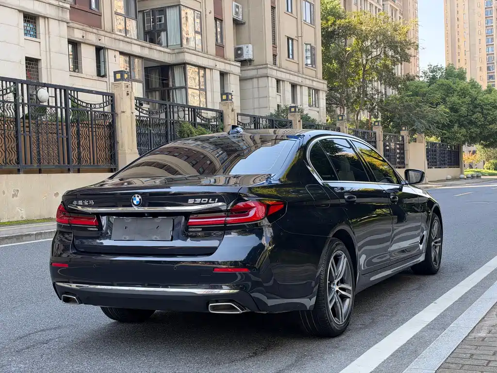BMW 5 Series — миниатюра 4