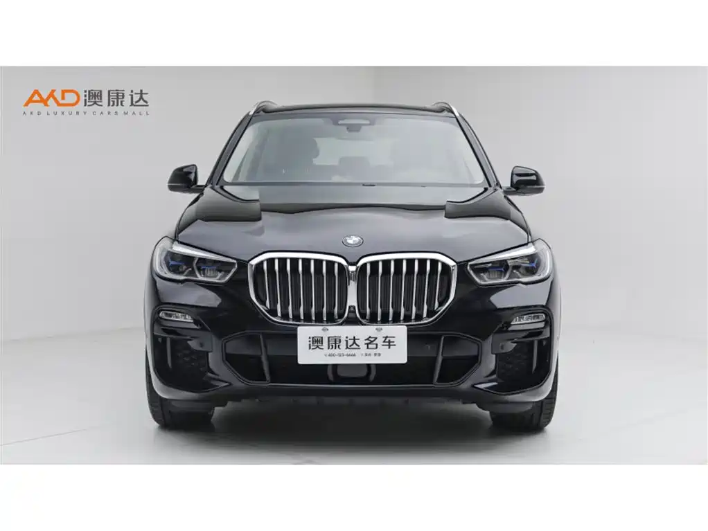 BMW X5 (Import) — миниатюра 2