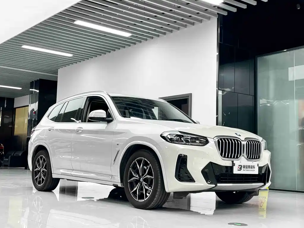 BMW X3 — миниатюра 3