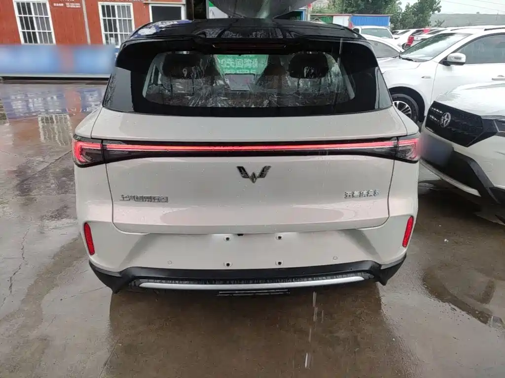 Wuling BinguoS S 2025 430km Premium