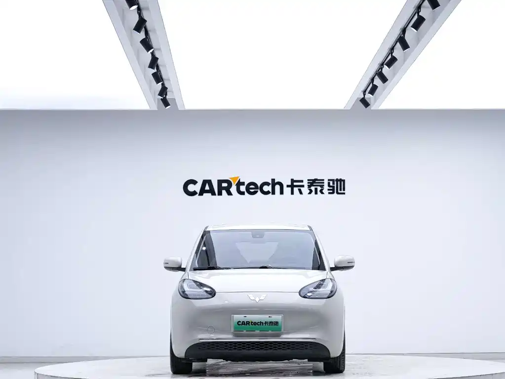 Wuling Binguo 2023 333km